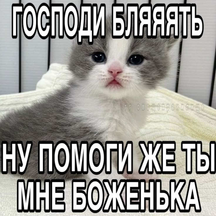 Не спонсируется